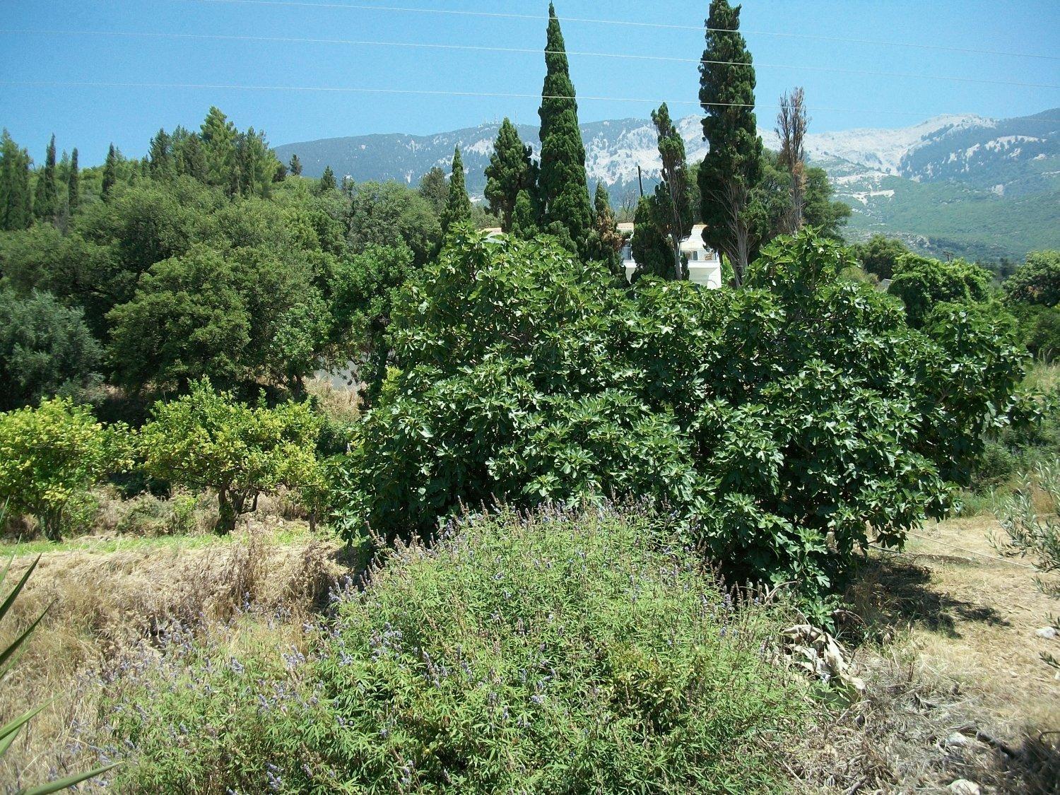 Diona Studios Λουρδάτα Εξωτερικό φωτογραφία